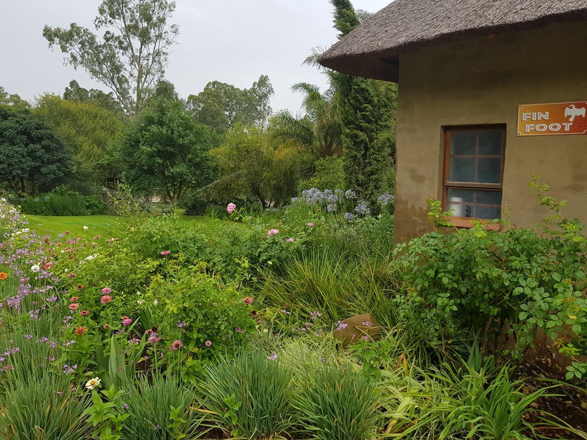 Avoca River Cabins Addo Extérieur photo
